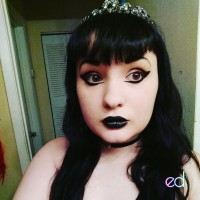 Kitten db.home.ad.location.escort