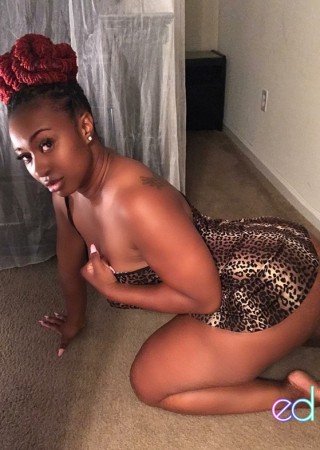 Charleston | Escort Escort Girl-25-1472331-photo-2