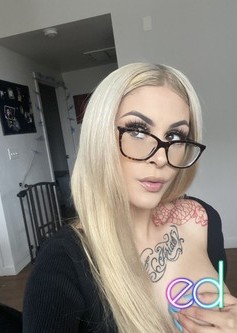 New Rochelle | Escort Canddy-26-1480617-photo-6