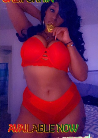 Raleigh | Escort EGYPTT-31-1478835-photo-2