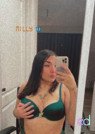 New Bedford | Escort Milly-20-1491846-photo-4