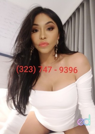 Tampa | Escort DARIA-24-1485451-photo-1