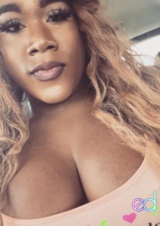 St. Petersburg | Escort TS Escort-27-1473075-photo-3