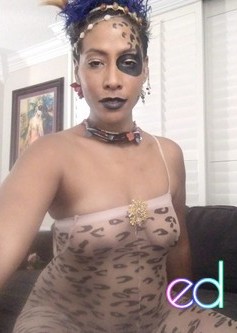 Metairie | Escort Duet-41-1491524-photo-4