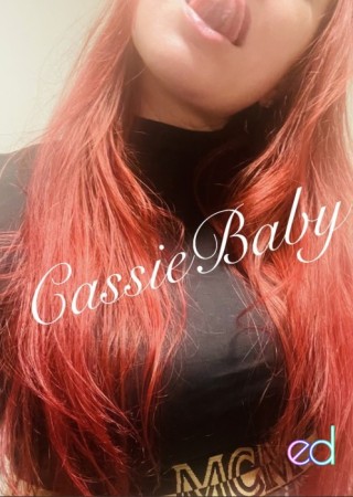 Thornton | Escort CassieBaby-30-1487690-photo-1