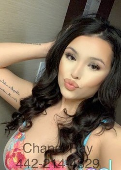 Bloomfield | Escort Sweet Chanel-20-1496650-photo-5