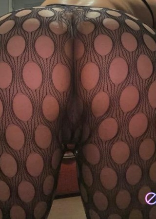 Pittsfield | Escort 2GIRL-26-1509977-photo-5