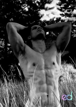 Los Angeles | Escort Ratmir-28-1485833-photo-1