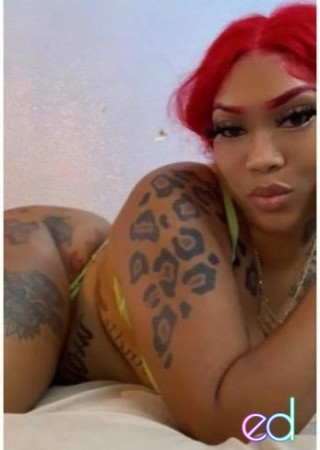 Savannah | Escort Bunny-29-1487959-photo-3