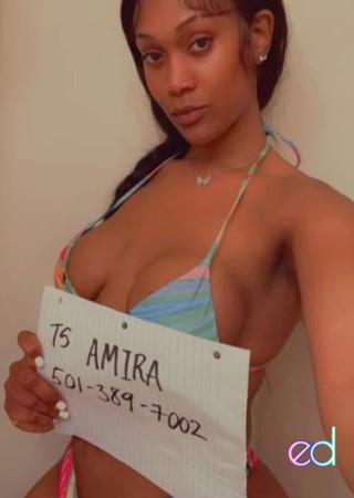 Virginia Beach | Escort AMIRA-23-1485667-photo-3