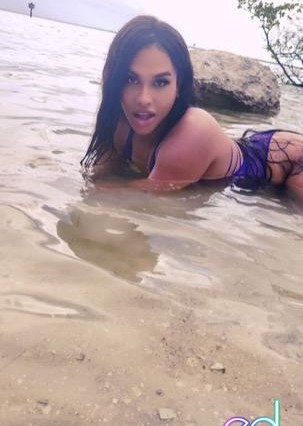 Jacksonville | Escort Bonita-26-1486083-photo-2