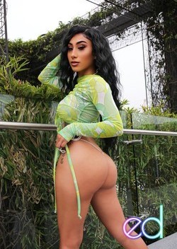 Silver Spring | Escort Yasmine-21-1494221-photo-2