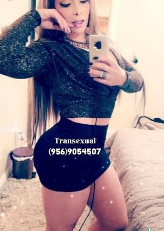 Laredo | Escort TS Sylvannah-25-1473088-photo-3