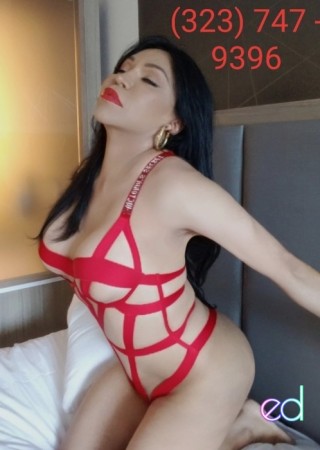 Tampa | Escort DARIA-24-1485451-photo-9