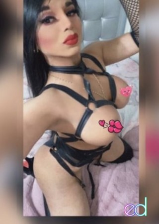 Los Angeles | Escort Venus Alexandra-23-1485865-photo-6