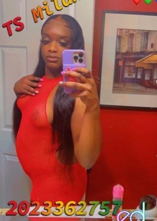 Washington DC | Escort Milan-28-1484880-photo-2