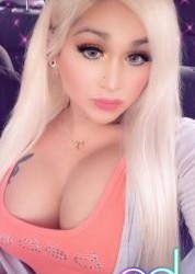 San Francisco | Escort EXOTIC CHANTELLE-23-1484640-photo-2