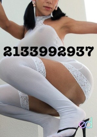 Los Angeles | Escort miss zusuki-25-1485892-photo-4
