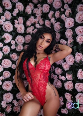Silver Spring | Escort Yasmine-21-1494221-photo-5