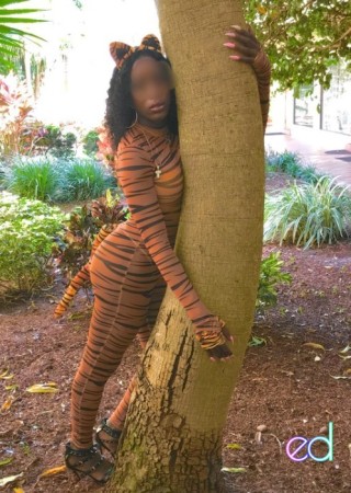 Pembroke Pines | Escort TrinaStarrr-24-1485797-photo-3