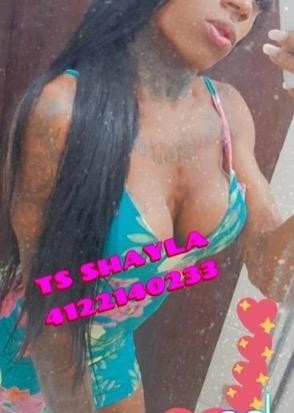 Dallas | Escort Shayla-25-1485972-photo-6