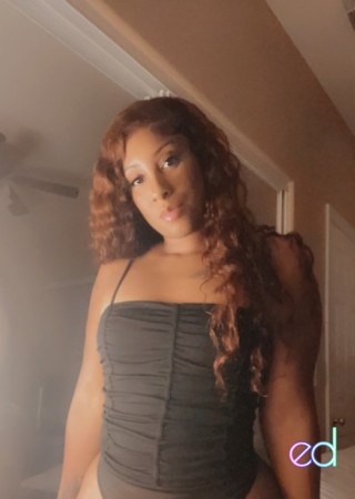 Paradise | Escort Lala-25-1492654-photo-1