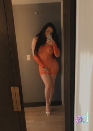 Los Angeles | Escort LAX-24-1485900-photo-6