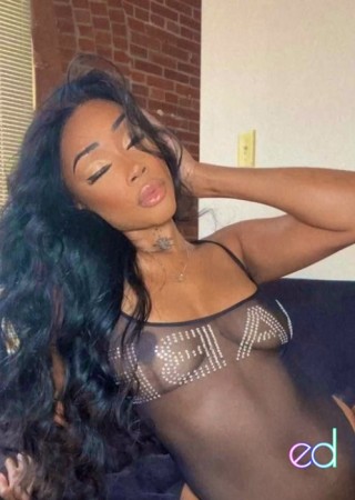 Pembroke Pines | Escort Morgan-23-1492782-photo-1