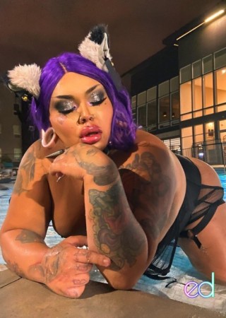 Highlands Ranch | Escort Dom Bunny-23-1487900-photo-4