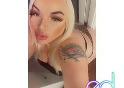 Lakewood | Escort Amber-25-1480576-photo-7