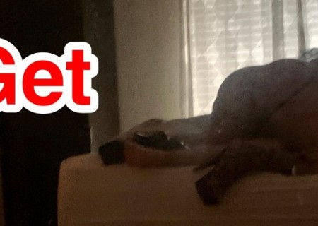 Arizona | Escort Joi_Full-37-1523482-photo-2